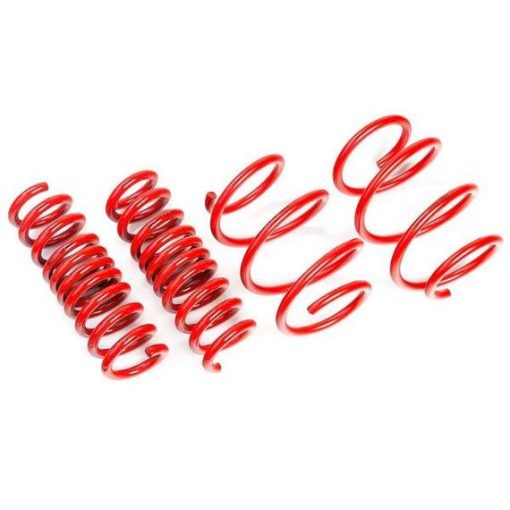 AST Audi RS3 8V 2.5TFSI Lowering Springs